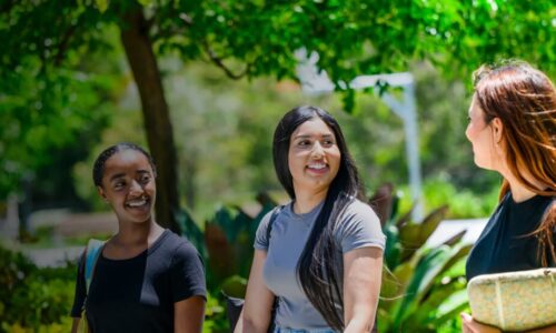 course-01 Introduction LearnPress – LMS plugin