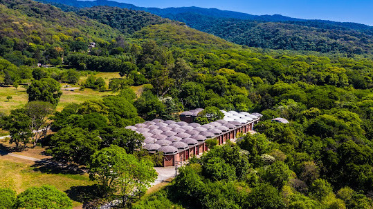 cupula (1) (1) cupula (1) (1)