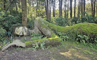 jardín botánico (1)