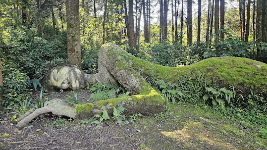 jardín botánico (1) jardín botánico (1)