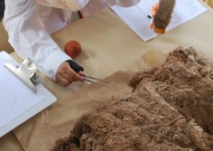 Doc. en Arqueología