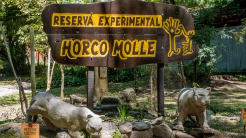 horcom_26lji9mu_01-10-2025